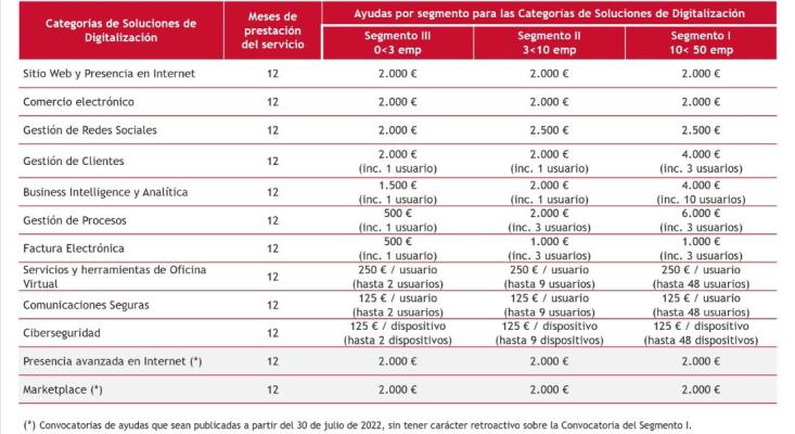 Importes Ayudas. Kit Digital. Segmento III