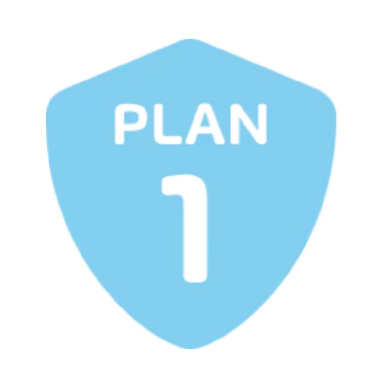 Plan 1 - Business