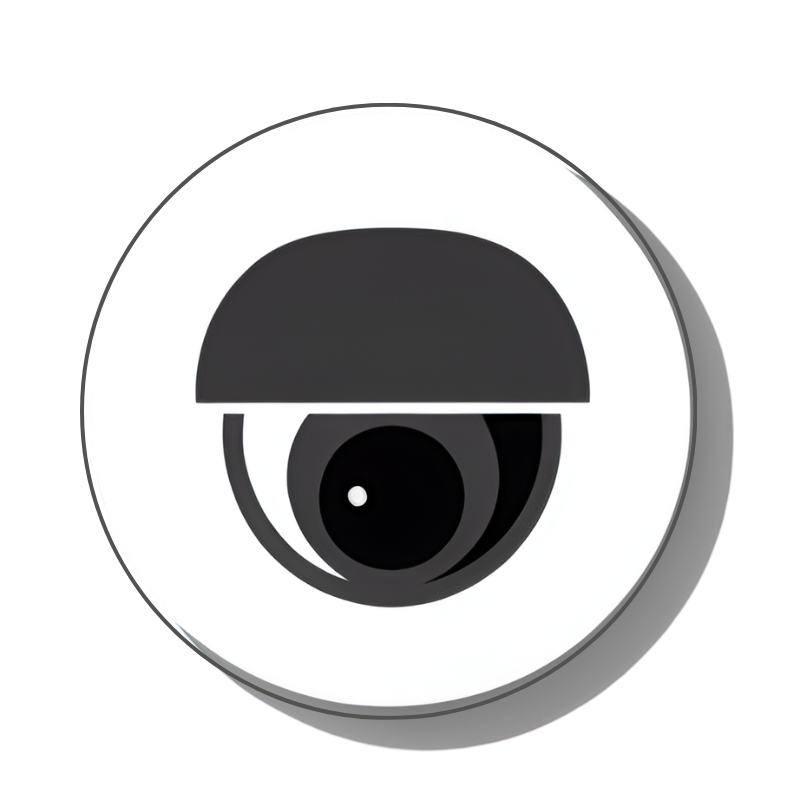 PTZ IP Camera