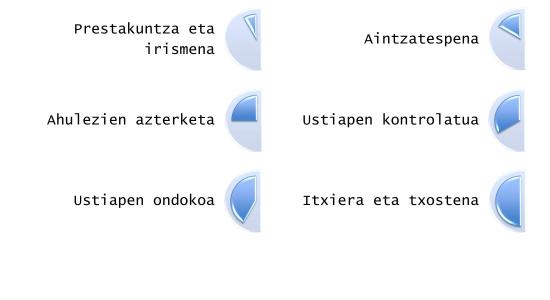 Nobedadeak. Pentesting zerbitzu berria - Faseak Euskera